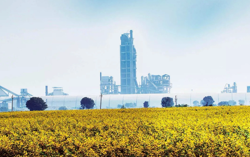 Orient cement at daylight